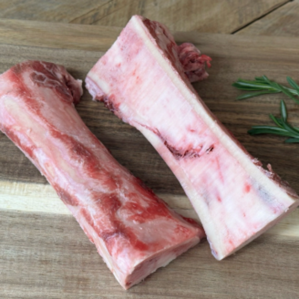 Bone marrow