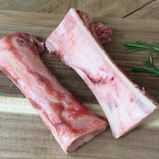 Bone marrow